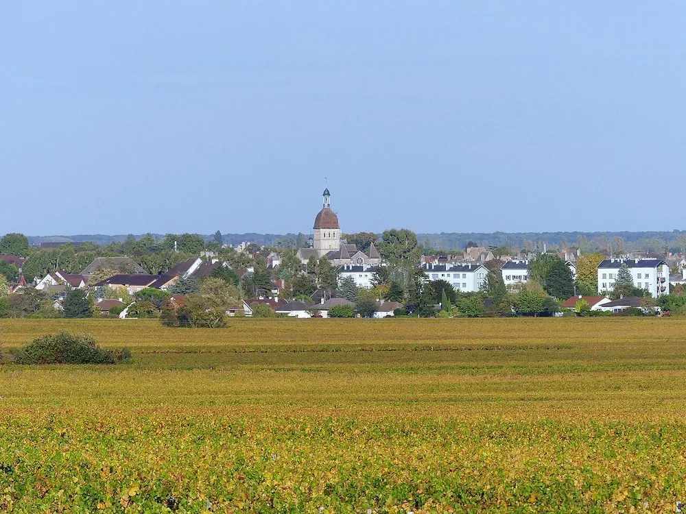 Beaune vue depuis les vignes de la Côte de Beaune en automne